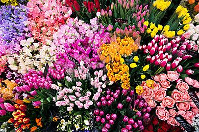 末日电子工程解密游戏《信号法则》9月23日上线 Steam！