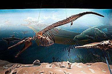 吃豆人45周年！ 《吃豆人 吃遍世界2》重制版9月26日登陆全平台