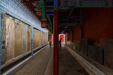 专为《麻布仔大冒险》RTX版 和F1 22 DLSS 3打造的Game Ready驱动发布